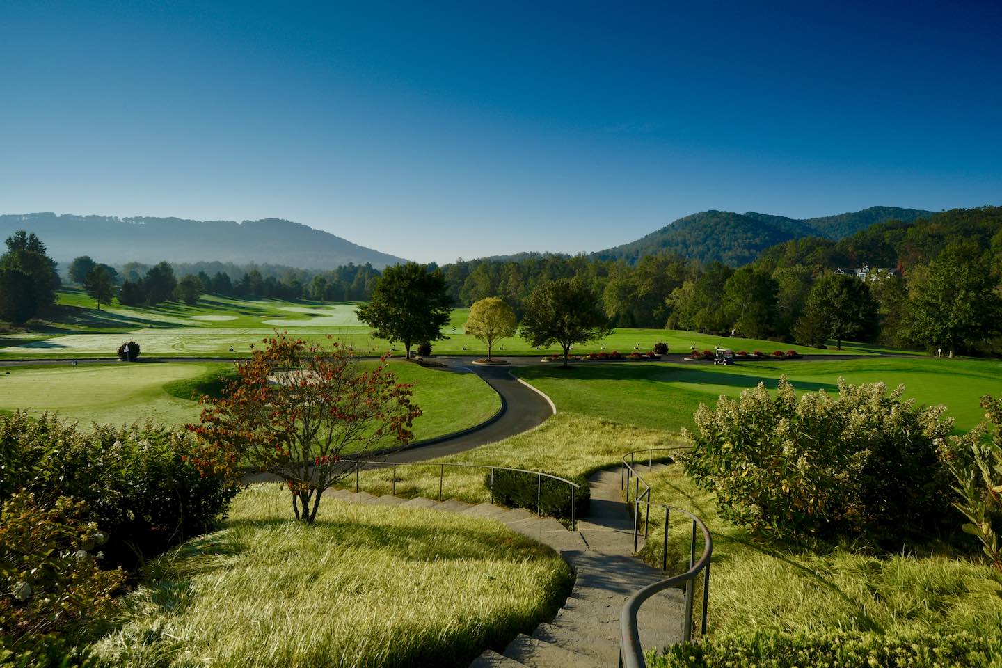 Top 5 Luxury Homes for Sale in Arden, NC